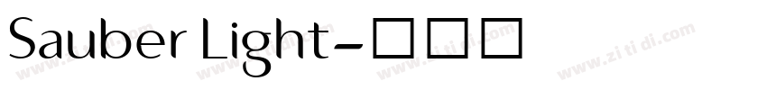 Sauber Light字体转换